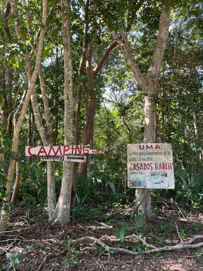 Casados Ranch Hotel Escárcega Eksteriør billede